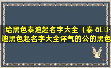 给黑色泰迪起名字大全（泰 🌷 迪黑色起名字大全洋气的公的黑色 🐞 ）